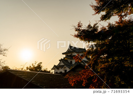 【滋賀県】 彦根城 秋 【滋賀県】 彦根城 秋 71693354