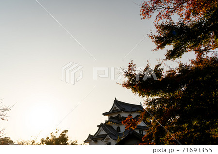 【滋賀県】 彦根城 秋 【滋賀県】 彦根城 秋 71693355
