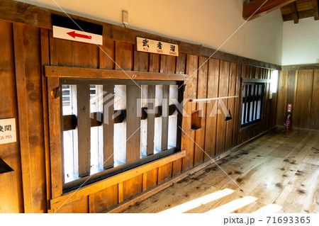 【滋賀県】　彦根城　秋 71693365