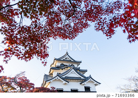 【滋賀県】 彦根城 秋 【滋賀県】 彦根城 秋 71693366