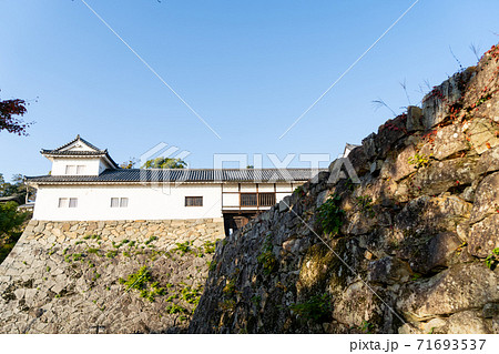 【滋賀県】　彦根城　秋 71693537