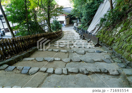 【滋賀県】 彦根城 秋 【滋賀県】 彦根城 秋 71693554