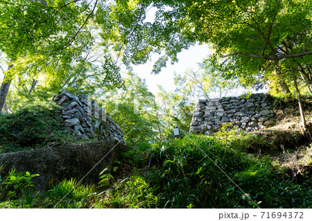 【静岡県】　二俣城跡　鳥羽山城跡 71694372