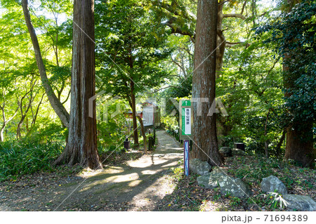 【静岡県】 二俣城跡 鳥羽山城跡 【静岡県】 二俣城跡 鳥羽山城跡 71694389