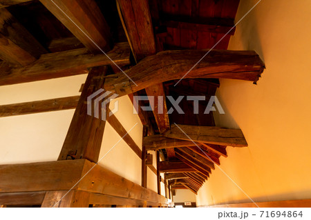 【滋賀県】　彦根城　秋 71694864