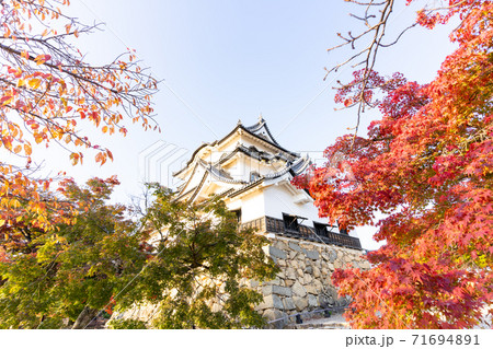【滋賀県】 彦根城 秋 【滋賀県】 彦根城 秋 71694891