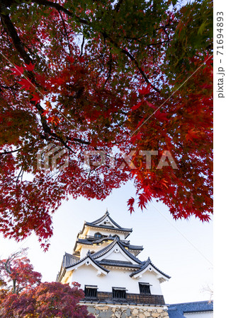 【滋賀県】 彦根城 秋 【滋賀県】 彦根城 秋 71694893