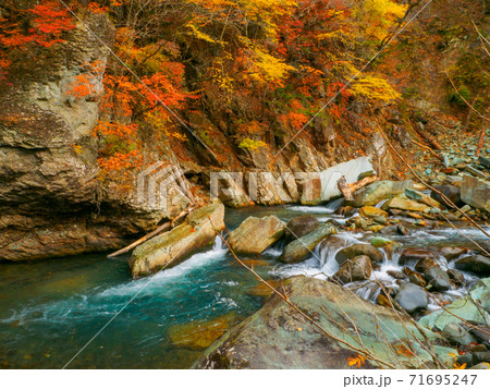 紅葉と鹿股川 (仙人岩吊橋、那須塩原、栃木県) 紅葉と鹿股川 (仙人岩吊橋、那須塩原、栃木県) 71695247