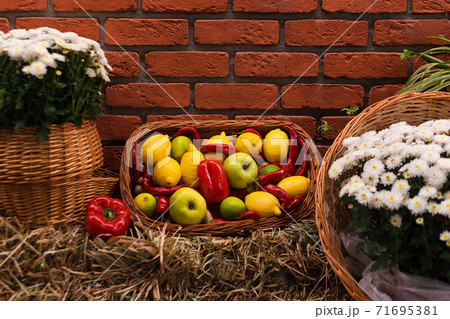 Autumn decor with vegetables and flowers on dry haystacks. Harvest and garden outdoor decorations for Halloween, Thanksgiving, autumn season still life. Fall styled composition. 71695381
