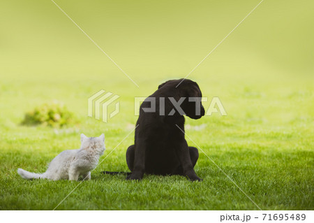 Never look back after making a decision 71695489