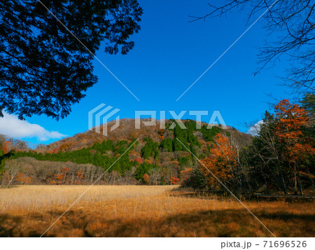 晩秋のヨシ沼と新湯富士 (奥塩原、栃木県) 71696526