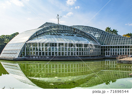 京都府立植物園 青空 コピースペース 観覧温室の写真素材