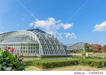 京都府立植物園 青空 コピースペース 観覧温室の写真素材