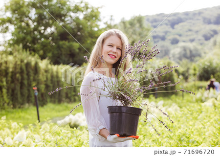 Greenshop owner demonstrates a pot with a lavender flower Greenshop owner demonstrates a pot with a lavender flower 71696720
