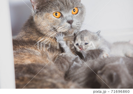 Young recent mom needs help and support 71696860