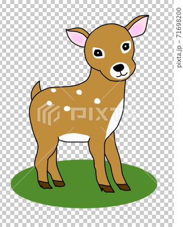 草の上に立つ小鹿のイラスト素材