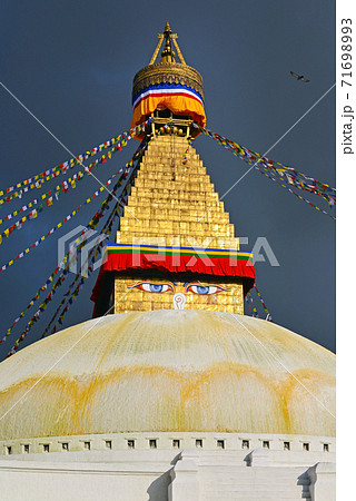 Boudhanath Buddhist stupa. Kathmandu, Nepal Boudhanath Buddhist stupa. Kathmandu, Nepal 71698993