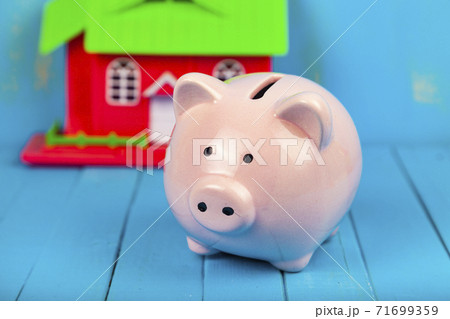 House and piggy bank. House and piggy bank. 71699359