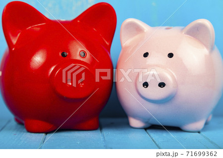 Two pigs piggy banks Two pigs piggy banks 71699362