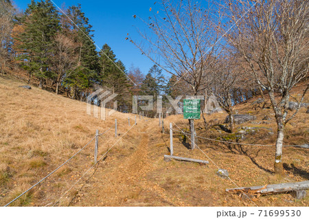 丸川峠(大菩薩嶺) 丸川峠(大菩薩嶺) 71699530