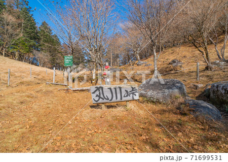 丸川峠(大菩薩嶺) 丸川峠(大菩薩嶺) 71699531