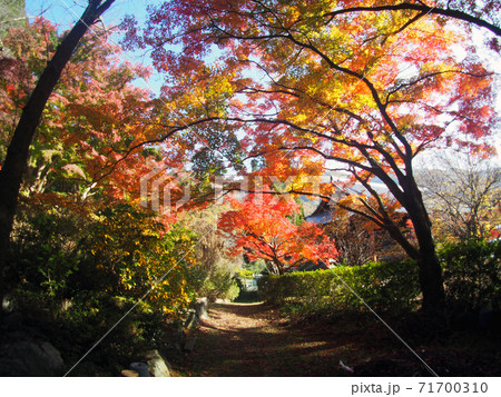 久安寺の紅葉 久安寺の紅葉 71700310