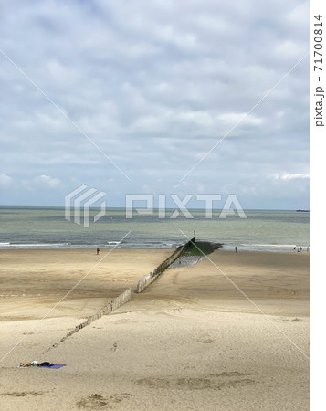 Wooden poles on the beach to break the waves at Cadzand, The Netherlands 71700814