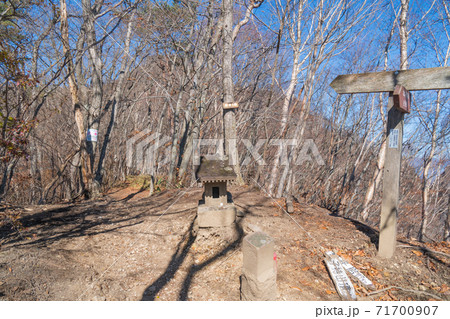子持山の柳木ヶ峰(群馬県渋川市) 子持山の柳木ヶ峰(群馬県渋川市) 71700907
