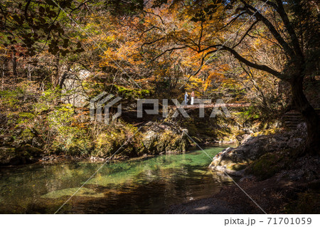 小田深山 小田深山 71701059