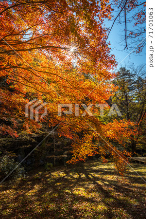 小田深山 71701063