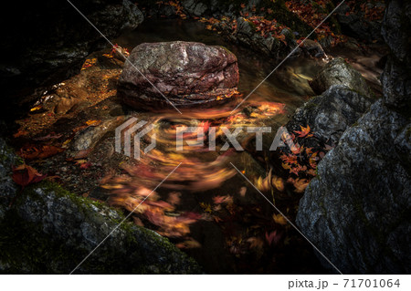 小田深山 小田深山 71701064