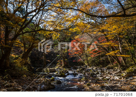 小田深山 小田深山 71701068