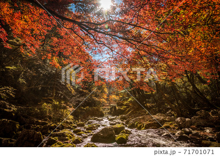 小田深山 71701071