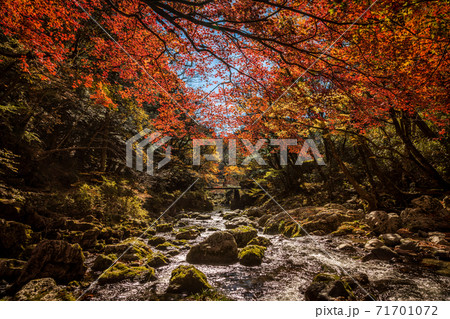 小田深山 小田深山 71701072