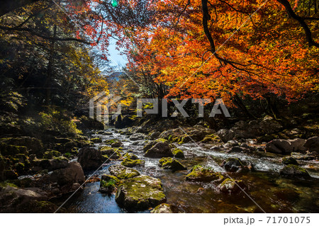小田深山 小田深山 71701075