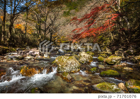 小田深山 小田深山 71701076