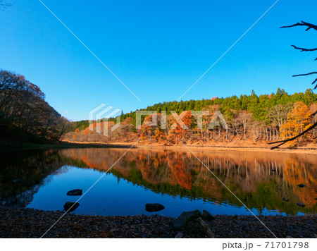 晩秋の晴れた日の大沼と水面に反射する紅葉 (大沼園地、奥塩原、栃木県) 71701798