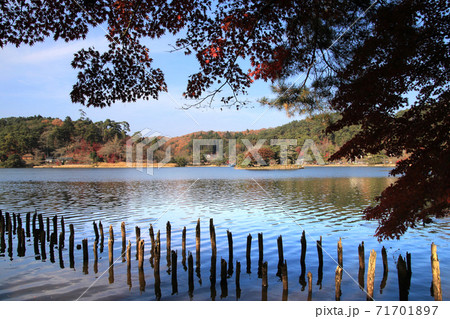 秋の南湖公園（白河市・福島県） 71701897
