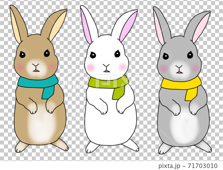 Three rabbits with mufflers Three rabbits with mufflers 71703010