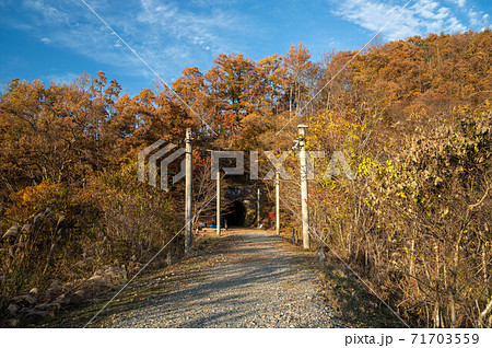 晩秋の廃線敷きウォーク　漆久保トンネル前 71703559