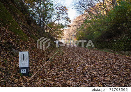 晩秋の廃線敷きウォーク 晩秋の廃線敷きウォーク 71703566