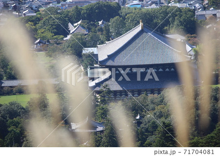 若草山 若草山 71704081