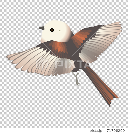 かわいい小鳥シマエナガが羽ばたくベクターイラストのイラスト素材