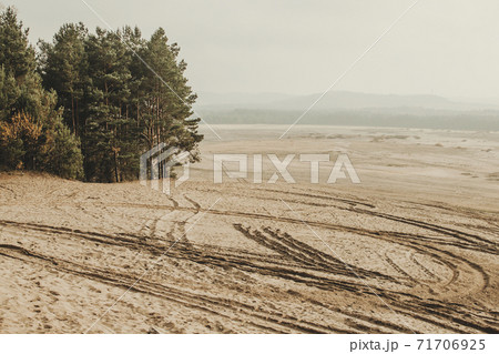 Bledow desert (pustynia bledowska) biggest sand desert in Silesia region in Poland 71706925