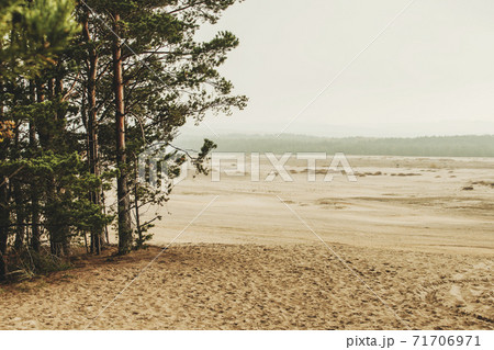 Bledow desert (pustynia bledowska) biggest sand desert in Silesia region in Poland 71706971