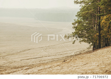 Bledow desert (pustynia bledowska) biggest sand desert in Silesia region in Poland 71706972