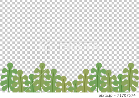 ワカメのフレーム 長方形のイラスト素材