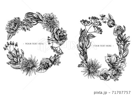 Floral Wreath Of Black And White Viburnum のイラスト素材