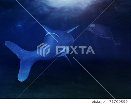3d orca underwater 71709396