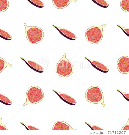 Illustration on theme big colored seamless purple fig 71711207